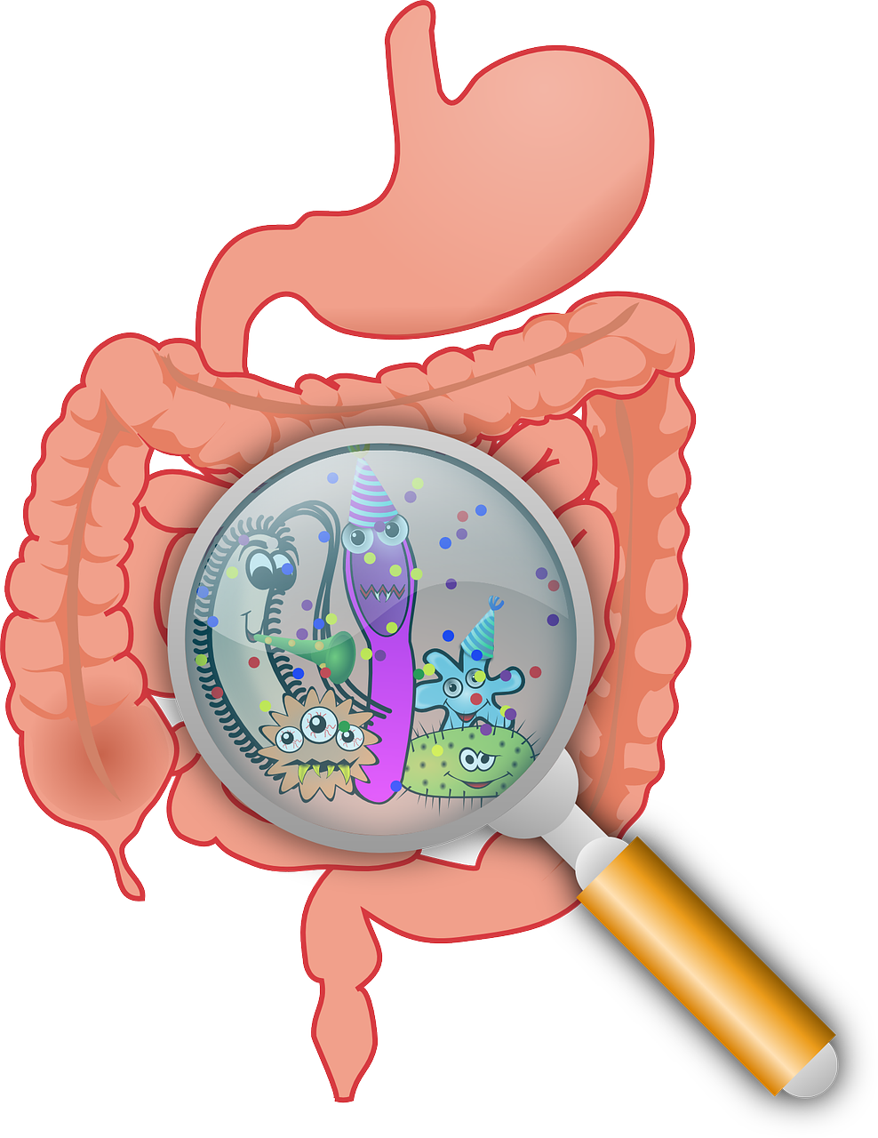 stress e salute dell'intestino